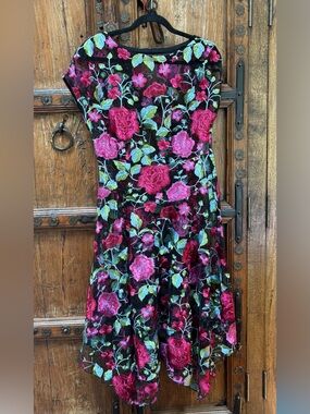 NWT Eva Franco Amara Hankerchief Sheer
Dress Midi in Pink Poppy SZ 6 EM7034-A-O